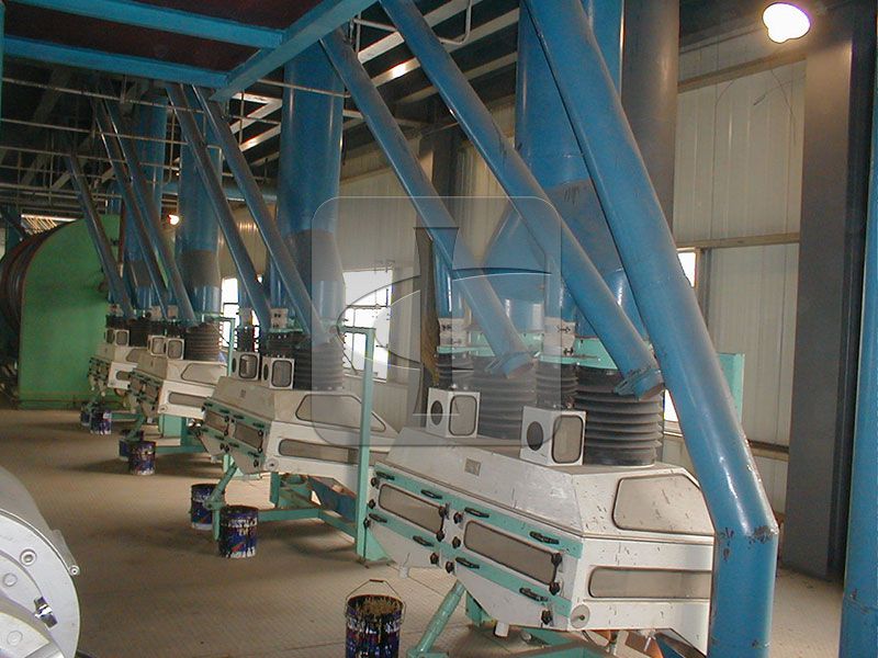 Pretreatment of oilseeds