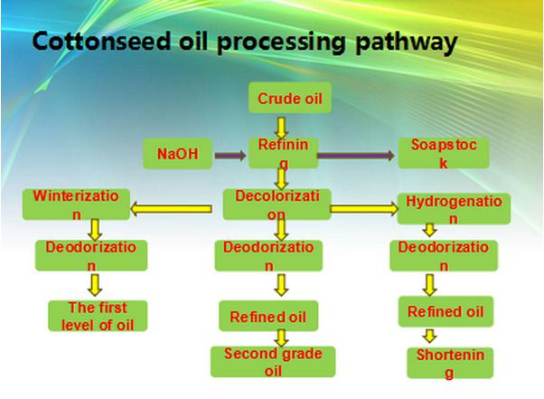 Cotton Oil Solvent Extraction Processing Equipment